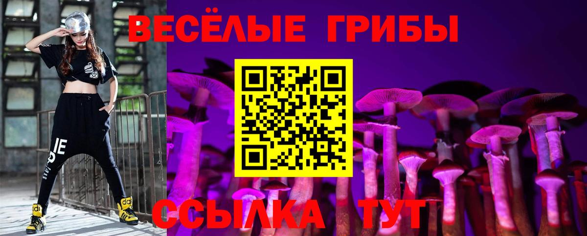 Галлюциногенные грибы мицелий  Вход с VPN  Батайск  Псилоцибиновые грибы GOLDEN TEACHER 